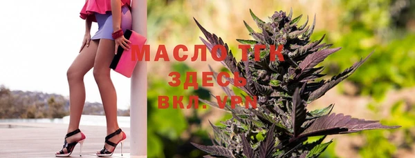 индика Нефтегорск