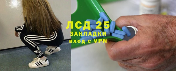 индика Нефтегорск
