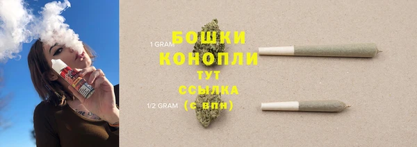 бошки Нея