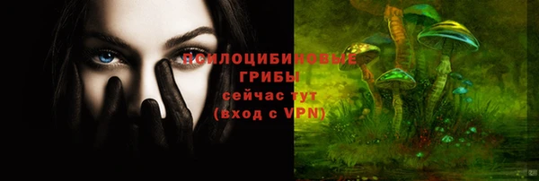 бошки Нея