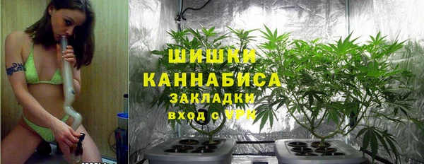 бошки Нея