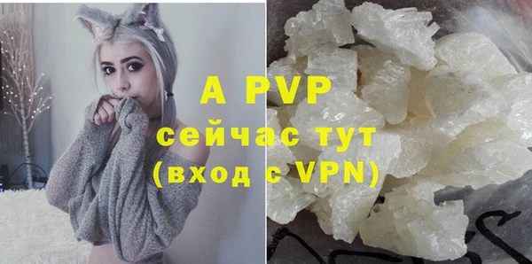 бошки Нея